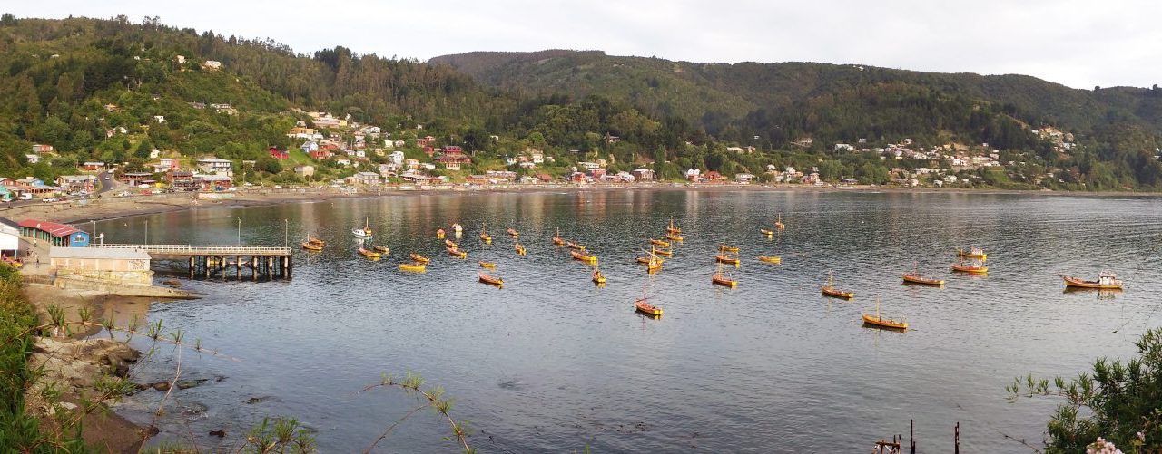 Panorámica Caleta Los Molinos